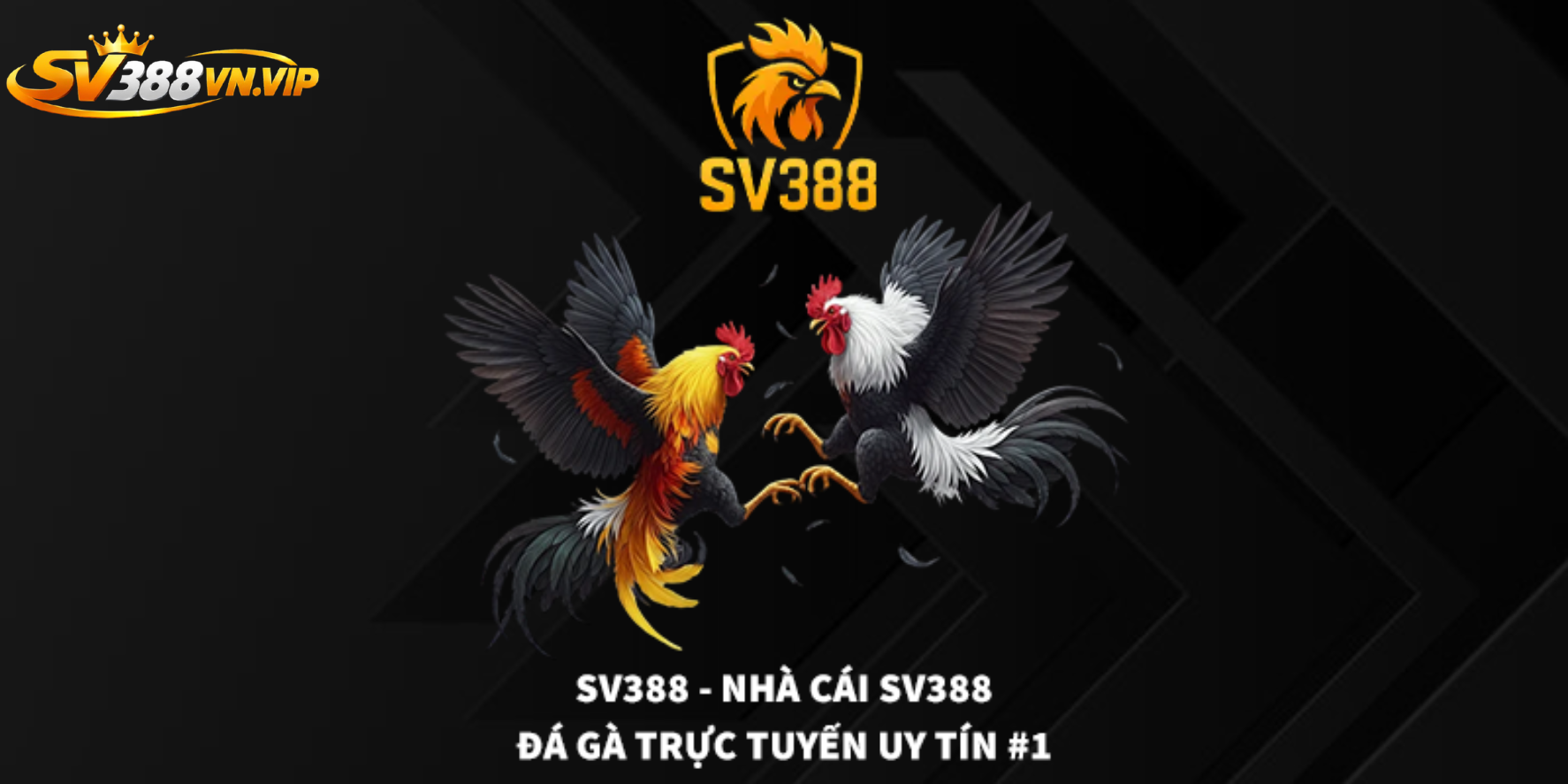 Giới thiệu chung về  SV388