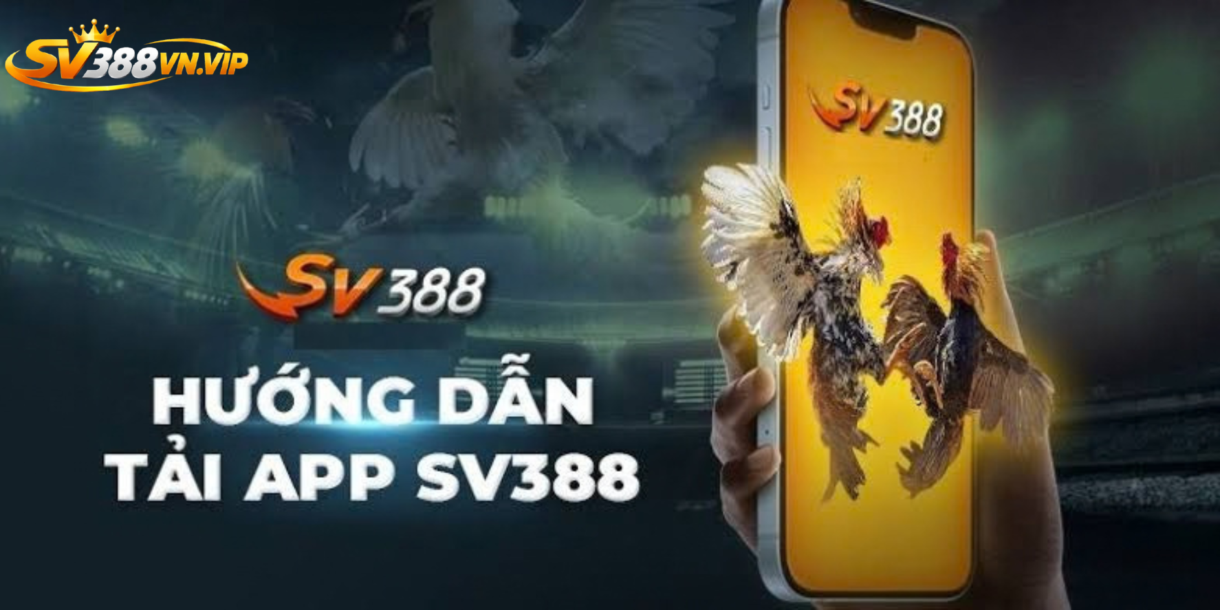 Hướng dẫn tải ứng dụng SV388 về máy điện thoại