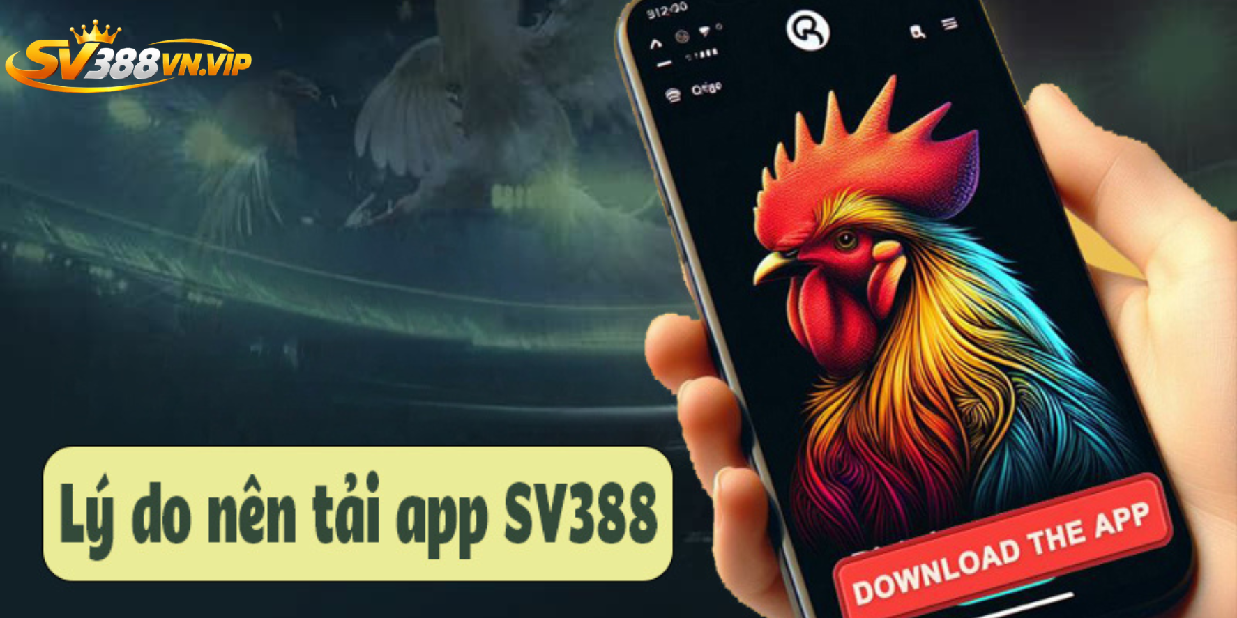 Tổng hợp 1 số lưu ý khi tải ứng dụng SV388 về máy điện thoại