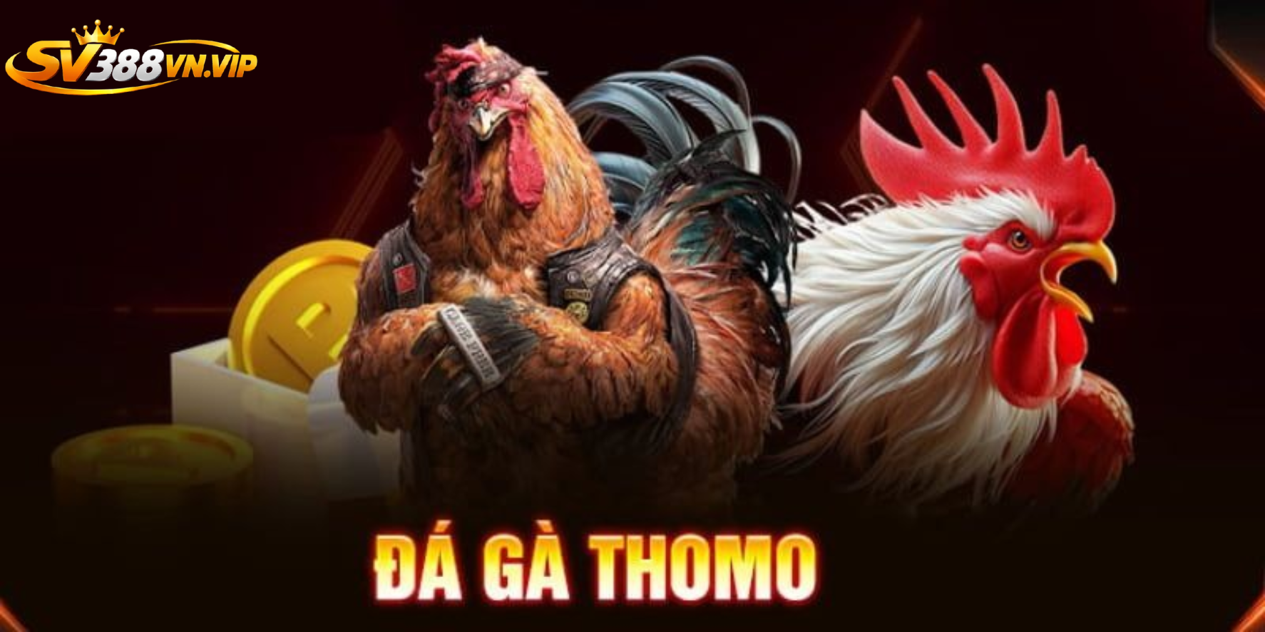 Tham gia những kèo cược hấp dẫn tại SV388 